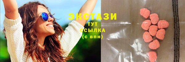 СК Алексин