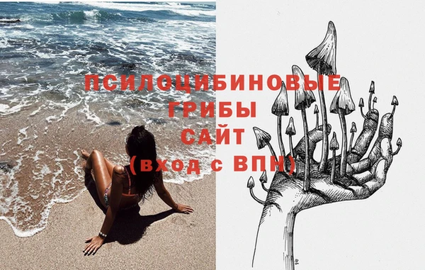 СК Алексин