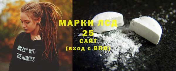 СК Алексин