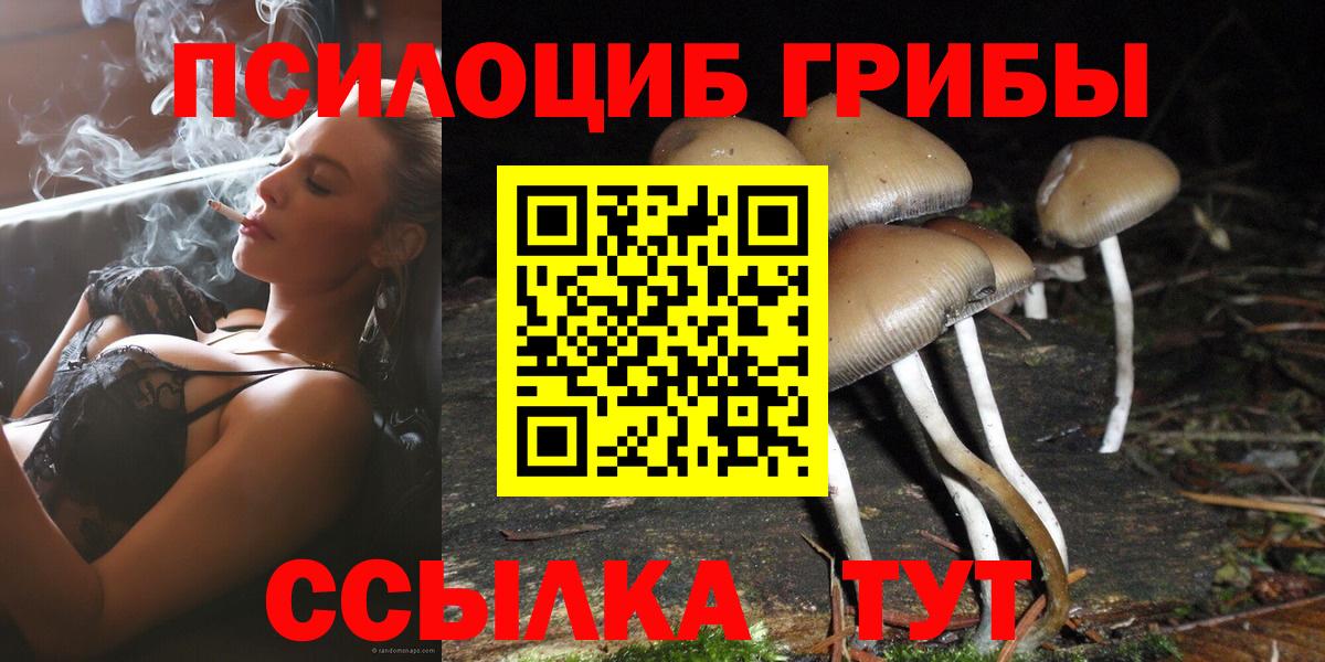 Псилоцибиновые грибы Psilocybe Ржев